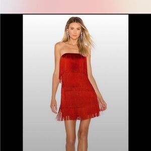 Super rare Alexis fringe dress! Beautiful on!